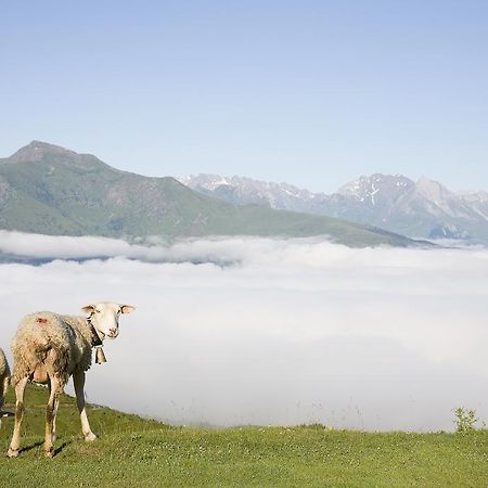 Hotel Le Viscos Saint-Savin  ภายนอก รูปภาพ