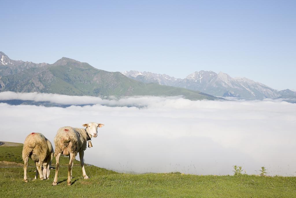 Hotel Le Viscos Saint-Savin  ภายนอก รูปภาพ
