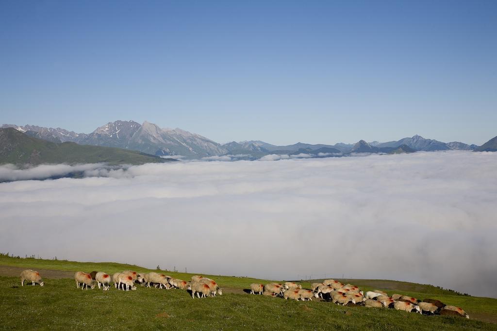Hotel Le Viscos Saint-Savin  ภายนอก รูปภาพ
